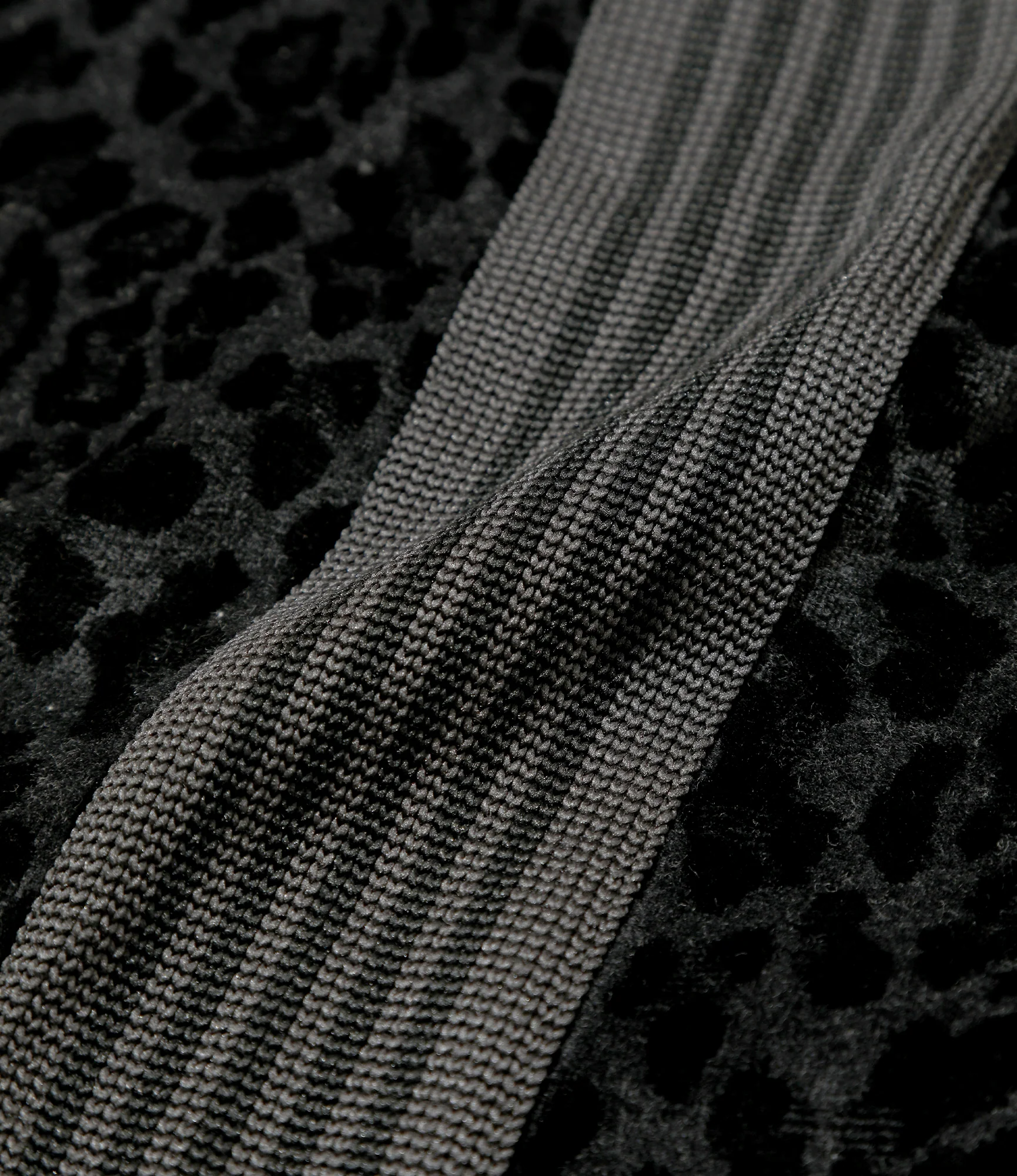 H.D. Track Pant - Black - Leopard Velour - Image 6